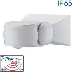 Nexo SR36
