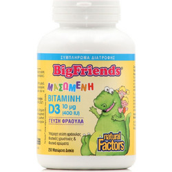 Natural Factors Vitamin D3 Big Friends 400iu 250 Μασώμενα Δισκία