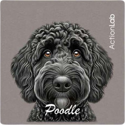 Action Lab Μαγνητάκι Magnet Poodle Black