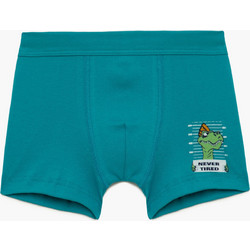 Παιδικό Boxer Βαμβακερό Minerva 90-42658 ΠΕΤΡΟΛ