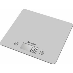 Terraillon T1040 Silver