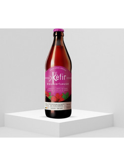 BIOGEL Water Kefir Hibiscus & Blackcurrant (Ιβίσκος & φραγκοστάφυλο) 330ml BIOGEL ORIGINAL