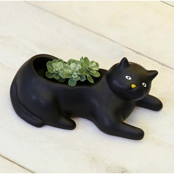 Kikkerland Garden Cosmo The Black Cat Κασπώ Μαύρο PL14