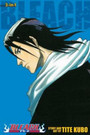 Bleach (3in1 Edition), Vol. 3 Bleach (3in1 Edition), Vol. 3