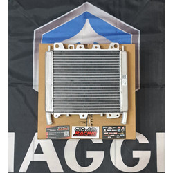 Ψυγείο Νερού Για Piaggio/Gilera/Aprilia 250-300-310-350-400-500cc 2006-2025 Μοντέλα Καινούργιο Γνήσιο