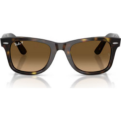 Ray-Ban RB4429 710/M2 Γυαλιά Ηλίου Στρογγυλά Κοκάλινα Μεταλλικά Ασημί Μαύρα, με Καφέ Polarized Φακό