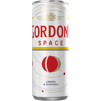 GORDONS SPACE ΚΟΥΤΙ 255ml