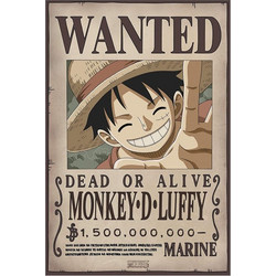 Poster One Piece - Wanted