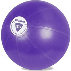 CORE FIT ΜΠΑΛΑ ΓΥΜΝΑΣΤΙΚΗΣ 55 CM LIVEPRO Β 8201-55