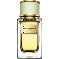 Dolce & Gabbana Velvet Pure Eau de Parfum 50ml