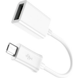 Leewello Μετατροπέας micro USB male σε USB-A female Λευκό 1τμχ YPX-032