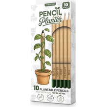Mikamax Pencil Planter