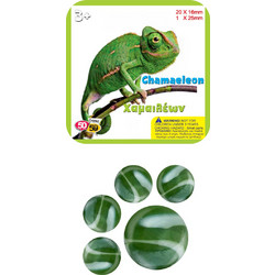 Τρελά Γκαζάκια Χαμαιλέων (505901chameleon)