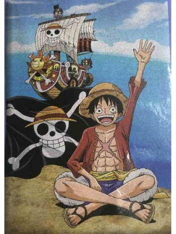 ONE PIECE - Sunny - Polar Plaid 100% Microfiber 100x140cm