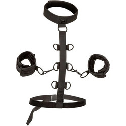 CalExotics Boundless Collar Body Restraint