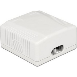 Delock Επιτοίχια πρίζα δικτύου 2 θύρας Cat.6A LSA (86197)