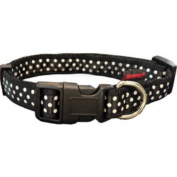 Pet Interest Dots Line Κολάρο Σκύλου Μαύρο 2.5x47-70cm