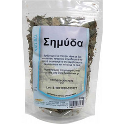 Health Trade Σημύδα 30gr