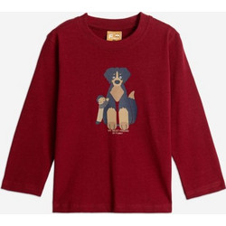 Funky Παιδικό T-Shirt Μακρυμάνικο Μπορντό 225-306117-1