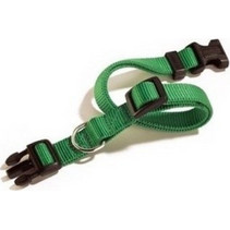 Camon Κολάρο Σκύλου Πράσινο 2.5x40-65cm