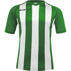 Acerbis Ανδρικό Αθλητικό T-Shirt Λευκό Πράσινο 0910048-371