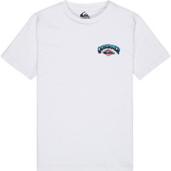 Quiksilver Παιδικό T-Shirt Κοντομάνικο Λευκό EQBZT04957-WBB0