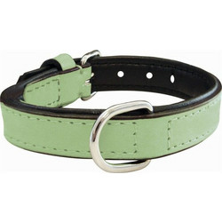 Gloria Pets Padded Δερμάτινο Κολάρο Σκύλου Πράσινο 2x40cm