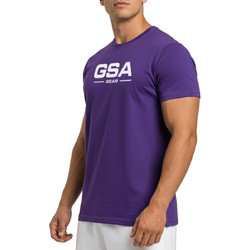 GSA Ανδρικό Αθλητικό T-Shirt Μωβ 17-C2601 Μωβ