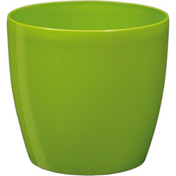 Plastona Roto Brill Κασπώ Δαπέδου Πλαστικό Lime 18x16.5cm 10.02.0109