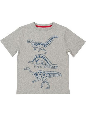 Kite Dinosaur Παιδικό T-Shirt Κοντομάνικο Γκρι KB0642
