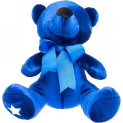 Chris το λούτρινο αρκουδάκι του Make-A-Wish (25εκ.) 14-2201-021