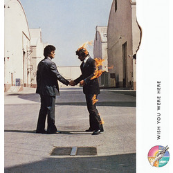 Pink Floyd (Wish You Were Here) 2.5cm Canvas Print 40 x 40cm - DC95987C
