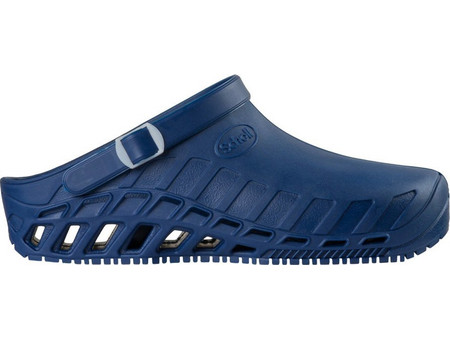 Scholl Clog Evo Blue F265631007