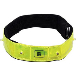 COMPASS Reflective strip illuminated 4LED (01587)