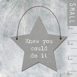 Αστεράκι -Knew you could do it 3x0,1x6 εκ