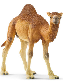 Schleich Wild Life Καμήλα 14832