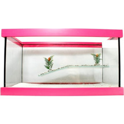 GCF Χελωνιέρα Γυάλινη Ροζ 40x20x20cm Κωδικός: 39857603