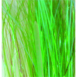 TINSEL UNO FLASHABOU