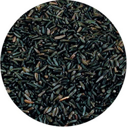 Νίζερ Ινδίας 1kg