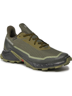 Salomon Alphacross 5 Ανδρικά Αθλητικά Παπούτσια Trail Running Χακί L473103