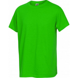 Μπλουζάκι T-shirt πράσινο ανοικτό 100% βαμβακερό FUJI - KEYA