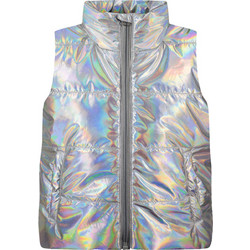 Energiers Αμάνικο Παιδικό Μπουφάν Puffer Ασημί 15-223313-1