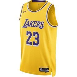 Nike LeBron James Los Angeles Lakers Φανέλα Μπάσκετ ΝΒΑ DN2009-733