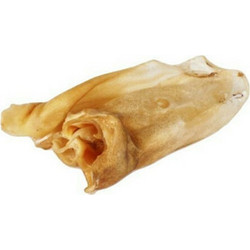 DOG EPICUREAN ΑΥΤΙ ΜΟΣΧΟΥ