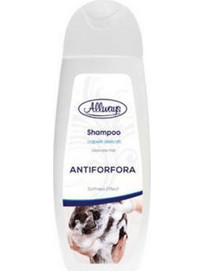 Allways Σαμπουάν 300ml Classic Shampoo Antiforfora Αντιπιτυριδικό