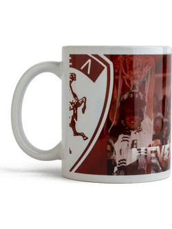 AEL FC NEVER ALONE 225AELCUP-003-NEVER ALONE Βυσσινί
