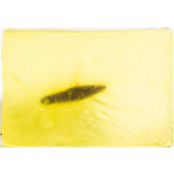 Olive Touch Oraganic Olive Oil & Olive Leaves Soap 100gr