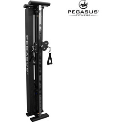 Pegasus T-SC01 Λ-5335