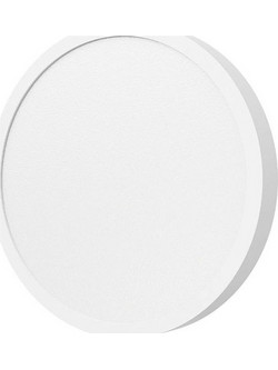 Xiaomi Smart Ceiling Light D20