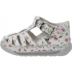 Falcotto Bianco Multi